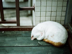 男生霸氣說(shuō)說(shuō)適合比較拽的人 十分獨(dú)特的超霸氣說(shuō)說(shuō)大全