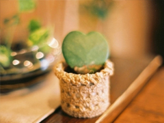 偶爾有點(diǎn)小傷感的心情說說 學(xué)會自我安慰的說說