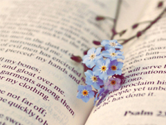 2019最真摯走心的愛(ài)情說(shuō)說(shuō) 讓人感動(dòng)淚目的情話合集