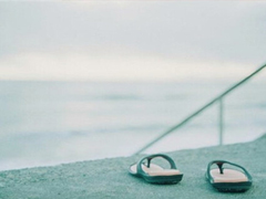 你們當年是因為什么而選擇的如今的大學(xué)呢？