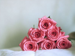 2019白色情人節(jié)朋友圈說(shuō)說(shuō)大全 314白色情人節(jié)祝福語(yǔ)說(shuō)說(shuō)暖心