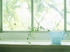 最新有內(nèi)涵的經(jīng)典說說2019 又好聽又勵志的微信經(jīng)典說說