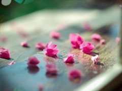 生活很現(xiàn)實的說說經(jīng)典句子 多些付出少些期待