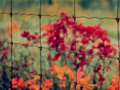 充滿陽光的簡短句子 鼓勵人的勵志說說心靈雞湯合集