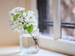 最能讓對(duì)方感動(dòng)的話(huà)很窩心 可愛(ài)呆萌的溫暖小情話(huà)