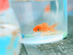 艾特自己的自嘲句子說說文字控 有關(guān)艾特自己的個性說說