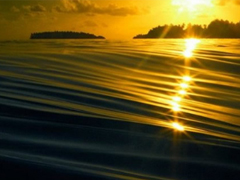 最新秀恩愛(ài)的幸福心情說(shuō)說(shuō) 雙11狂虐單身人士的說(shuō)說(shuō)大全