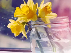 八月最后一天心情說說2018 八月即將過去的朋友圈晚安說說