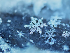 有種痛說(shuō)不出的心情說(shuō)說(shuō)最新 失去一個(gè)人的說(shuō)說(shuō)難受想哭