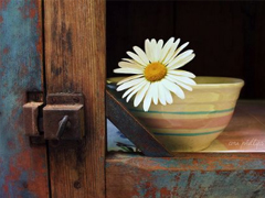 忘不了一個(gè)人的說說傷感淚目 一想到你我就淚流不止的說說