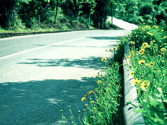 生活說(shuō)說(shuō)很現(xiàn)實(shí)的說(shuō)說(shuō)2018心情短語(yǔ) 穿透人心的說(shuō)說(shuō)簡(jiǎn)短一句話