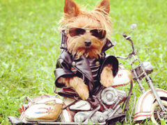 女人不花心，又怎么對(duì)得起貌美如花