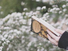 關于愛情很心酸的傷感說說 文藝范傷感愛情說說文字控喜歡的