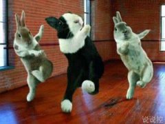 搞笑逗比說說大全，適合發(fā)說說的逗比段子