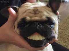 空間爆笑說說：謝謝那些曾經(jīng)擊倒我的人，躺著真的很舒服