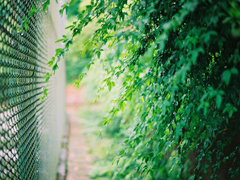 愛(ài)情中的孤獨(dú)寂寞說(shuō)說(shuō) 每個(gè)人都曾在愛(ài)情中流淚的傷感說(shuō)說(shuō)