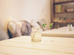 關(guān)于愛(ài)情的經(jīng)典說(shuō)說(shuō) 有些愛(ài)只能止于唇齒掩于歲月