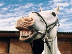 QQ搞笑說說段子：今晚，我托一只蚊子去找你，讓它替我親親你