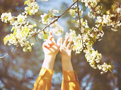 想說給你的一句心里話愛情說說 愛情說說很現實的說說