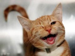 爆笑說說大全，爆笑笑話笑死人不償命