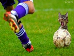 幽默搞笑的說(shuō)說(shuō)，幽默搞笑的段子