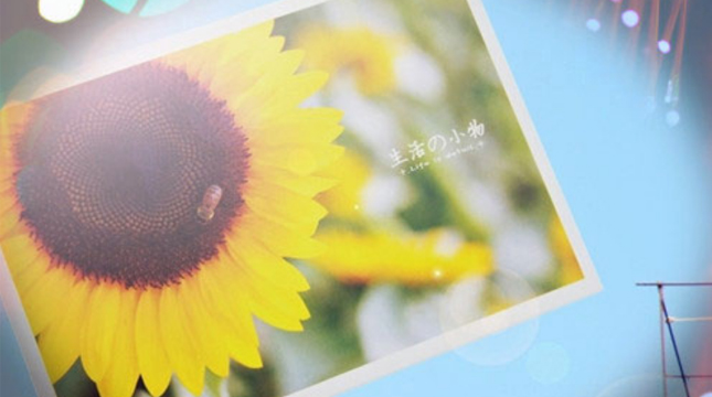 2019二月你好三月再見說說心情短語 三月請對我好一點(diǎn)唯美說說