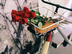 2019晚安心語心情說說大全 每天睡前一句晚安說說致所有人