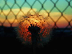 30條有道理的經(jīng)典說(shuō)說(shuō) 簡(jiǎn)短但是道理深刻的句子大全