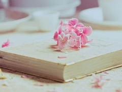 快手愛情語錄說說大全 快手說說句子熱門情話