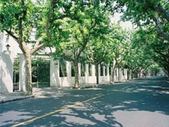 微信愛(ài)情說(shuō)說(shuō)大全心情句子 錯(cuò)過(guò)不是錯(cuò)了而是過(guò)了