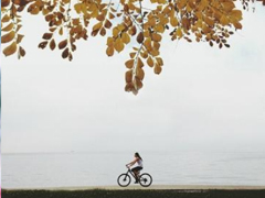 最新元旦個性說說2019要加油 拼搏道路上經(jīng)典的話語