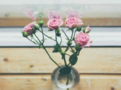 2019微信經(jīng)典說(shuō)說(shuō)心情短語(yǔ) 每個(gè)人必須了解的經(jīng)典句子