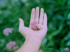 有點好笑又甜蜜的土味情話大合集 我是可愛的小姑娘你是可愛