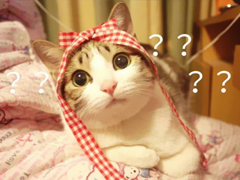 特別好笑又好玩的搞笑說(shuō)說(shuō)大全 讓人捧腹大笑的搞笑內(nèi)涵說(shuō)說(shuō)