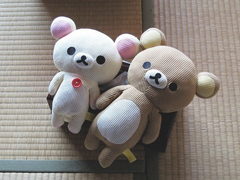 50條超搞笑一句話簡單內(nèi)涵說說很有意思