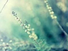 抖音經典好聽的愛情說說 心有多近那么距離就有多近