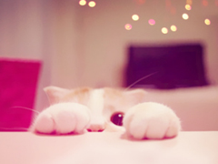 萌萌噠的可愛(ài)說(shuō)說(shuō) 惹人喜歡必評(píng)的可愛(ài)說(shuō)說(shuō)精選