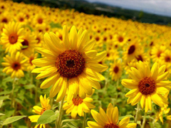 人生感悟說說剪短一點的 經(jīng)歷成長的經(jīng)典說說合集