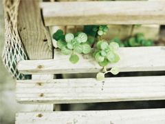 讓人溫暖的說(shuō)說(shuō)大全很有安全感 適合向女生表白的暖心說(shuō)話