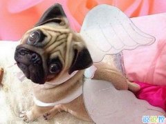 幽默搞笑的句子，最幽默的一句話