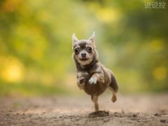 搞笑的朋友圈說說，適合發(fā)朋友圈的搞笑段子