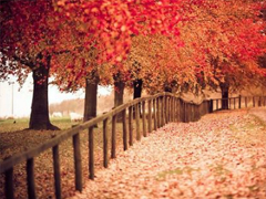 簡單一句話愛情說說心情短語 2019發(fā)朋友圈的經典愛情說說