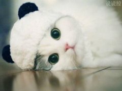 經(jīng)典搞笑語錄，經(jīng)典搞笑句子