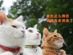 2018清明節(jié)搞笑說說：清明節(jié)應(yīng)該回小學(xué)初中掃掃墓，因為那里埋葬了你的青春。