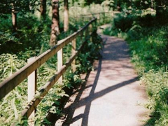 偶然看見(jiàn)的一句話可以打動(dòng)你心 很經(jīng)典的愛(ài)情說(shuō)說(shuō)大全2018