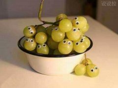 朋友圈搞笑說說，最新搞笑朋友圈說說