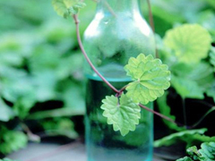 關于你我之間的愛情的說說 提到感情有些無措的愛情說說