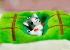 關(guān)于秋褲的搞笑句子，忘穿秋褲的搞笑段子