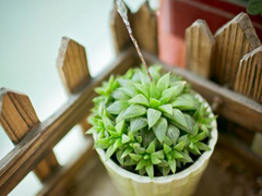 網(wǎng)易云音樂熱評語錄短語精選2019 我勸你早點喜歡我免得浪費時間