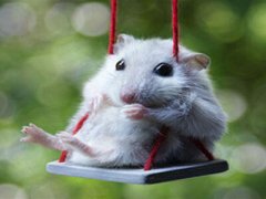 QQ空間惡搞說說：那些年錯過的大雨，請務(wù)必在軍訓(xùn)時還給我